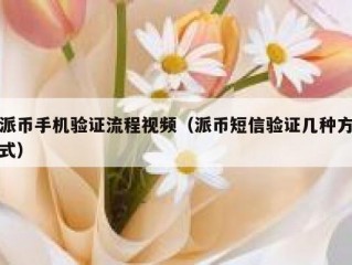 派币手机验证流程视频（派币短信验证几种方式）