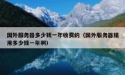 国外服务器多少钱一年收费的（国外服务器租用多少钱一年啊）