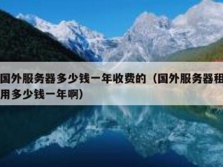 国外服务器多少钱一年收费的（国外服务器租用多少钱一年啊）