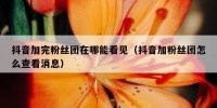 抖音加完粉丝团在哪能看见（抖音加粉丝团怎么查看消息）