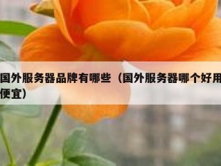 国外服务器品牌有哪些（国外服务器哪个好用便宜）