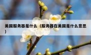 美国服务器是什么（服务器在美国是什么意思）