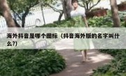 海外抖音是哪个图标（抖音海外版的名字叫什么?）