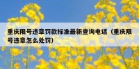 重庆限号违章罚款标准最新查询电话（重庆限号违章怎么处罚）