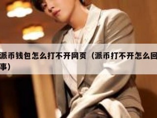 派币钱包怎么打不开网页（派币打不开怎么回事）