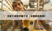 卡盟下单软件哪个好（卡盟购买教程）