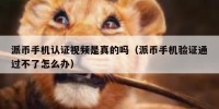 派币手机认证视频是真的吗（派币手机验证通过不了怎么办）