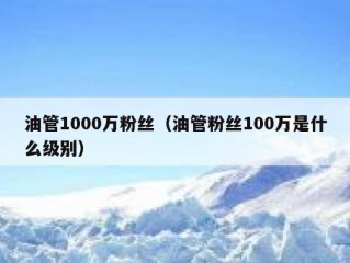 油管1000万粉丝（油管粉丝100万是什么级别）