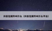 抖音在国外叫什么（抖音在国外叫什么平台）