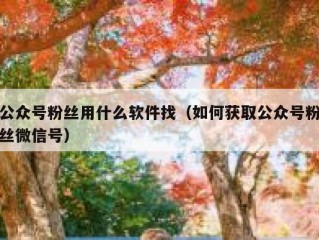 公众号粉丝用什么软件找（如何获取公众号粉丝微信号）