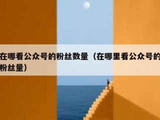 在哪看公众号的粉丝数量（在哪里看公众号的粉丝量）