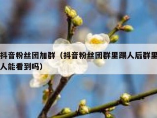 抖音粉丝团加群（抖音粉丝团群里踢人后群里人能看到吗）