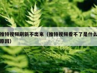 推特视频刷新不出来（推特视频看不了是什么原因）
