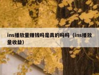 ins播放量赚钱吗是真的吗吗（ins播放量收益）