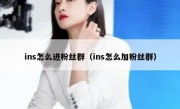 ins怎么进粉丝群（ins怎么加粉丝群）