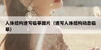 人体结构速写临摹图片（速写人体结构动态临摹）