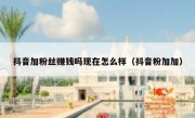 抖音加粉丝赚钱吗现在怎么样（抖音粉加加）