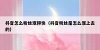 抖音怎么粉丝涨得快（抖音粉丝是怎么涨上去的）