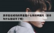 派币验证成功的界面是什么样的啊图片（派币为什么验证不了呢）