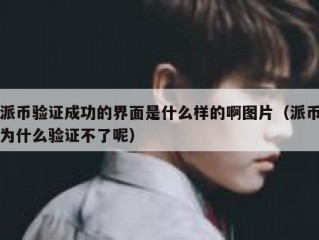 派币验证成功的界面是什么样的啊图片（派币为什么验证不了呢）