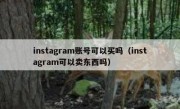 instagram账号可以买吗（instagram可以卖东西吗）