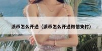 派币怎么开通（派币怎么开通微信支付）