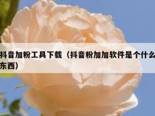 抖音加粉工具下载（抖音粉加加软件是个什么东西）