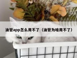 油管app怎么用不了（油管为啥用不了）