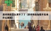 派币钱包怎么用不了了（派币钱包加载不出来什么原因）