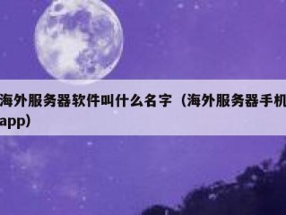 海外服务器软件叫什么名字（海外服务器手机app）