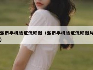 派币手机验证流程图（派币手机验证流程图片）