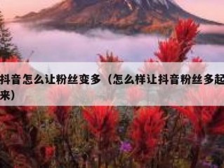 抖音怎么让粉丝变多（怎么样让抖音粉丝多起来）