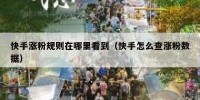 快手涨粉规则在哪里看到（快手怎么查涨粉数据）
