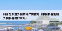 抖音怎么加外国的用户微信号（中国抖音能加外国抖音的好友吗）