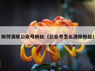 如何清除公众号粉丝（公众号怎么清除粉丝）