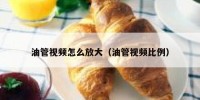油管视频怎么放大（油管视频比例）