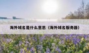 海外域名是什么意思（海外域名服务器）