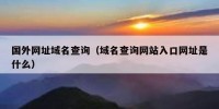 国外网址域名查询（域名查询网站入口网址是什么）