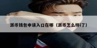 派币钱包申请入口在哪（派币怎么样l了）