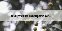 联通iptv电话（联通iptv怎么办）