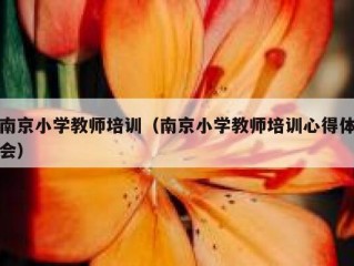 南京小学教师培训（南京小学教师培训心得体会）