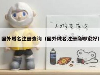 国外域名注册查询（国外域名注册商哪家好）