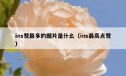 ins赞最多的图片是什么（ins最高点赞）