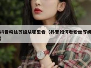 抖音粉丝等级从哪里看（抖音如何看粉丝等级）