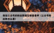 微信公众号的粉丝数据在哪里看啊（公众号粉丝数怎么看）