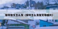 推特推文怎么发（推特怎么发推文带图片）