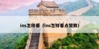 ins怎样看（ins怎样看点赞数）