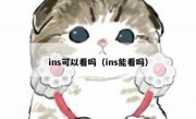 ins可以看吗（ins能看吗）