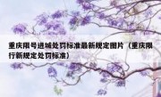 重庆限号进城处罚标准最新规定图片（重庆限行新规定处罚标准）