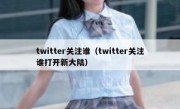 twitter关注谁（twitter关注谁打开新大陆）
